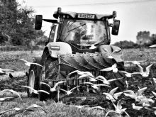 Ploughing